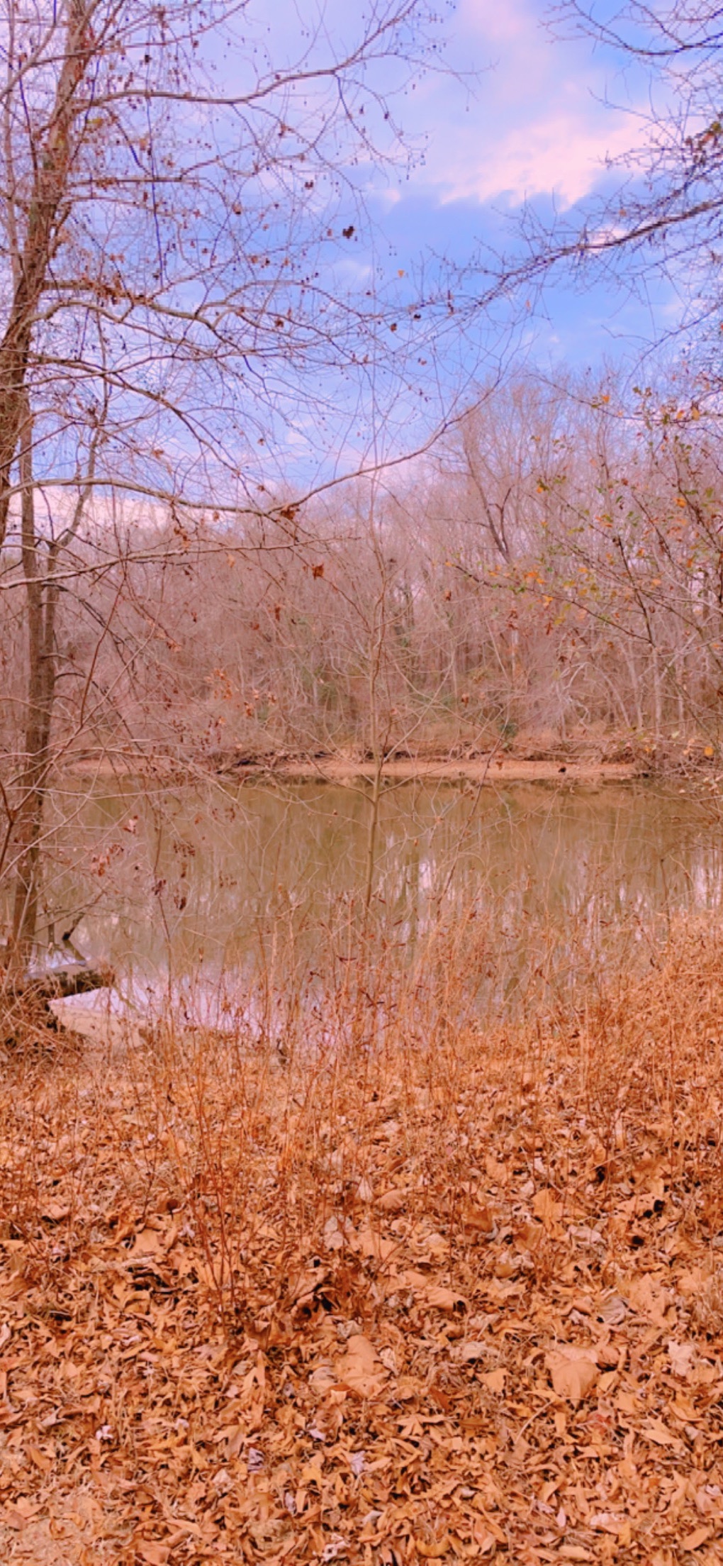 Grounding & Parenting: Nature Walk &&nbsp;Talks