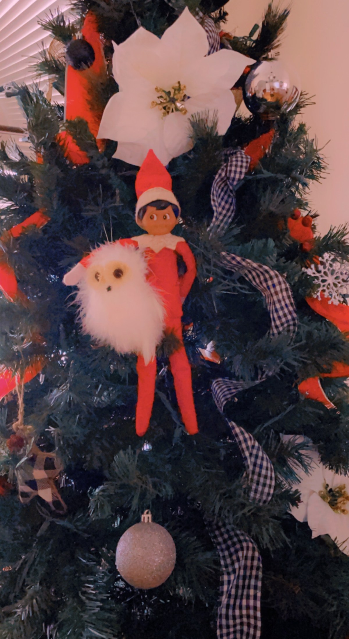 Jaxon hanging with the homie&nbsp;Who