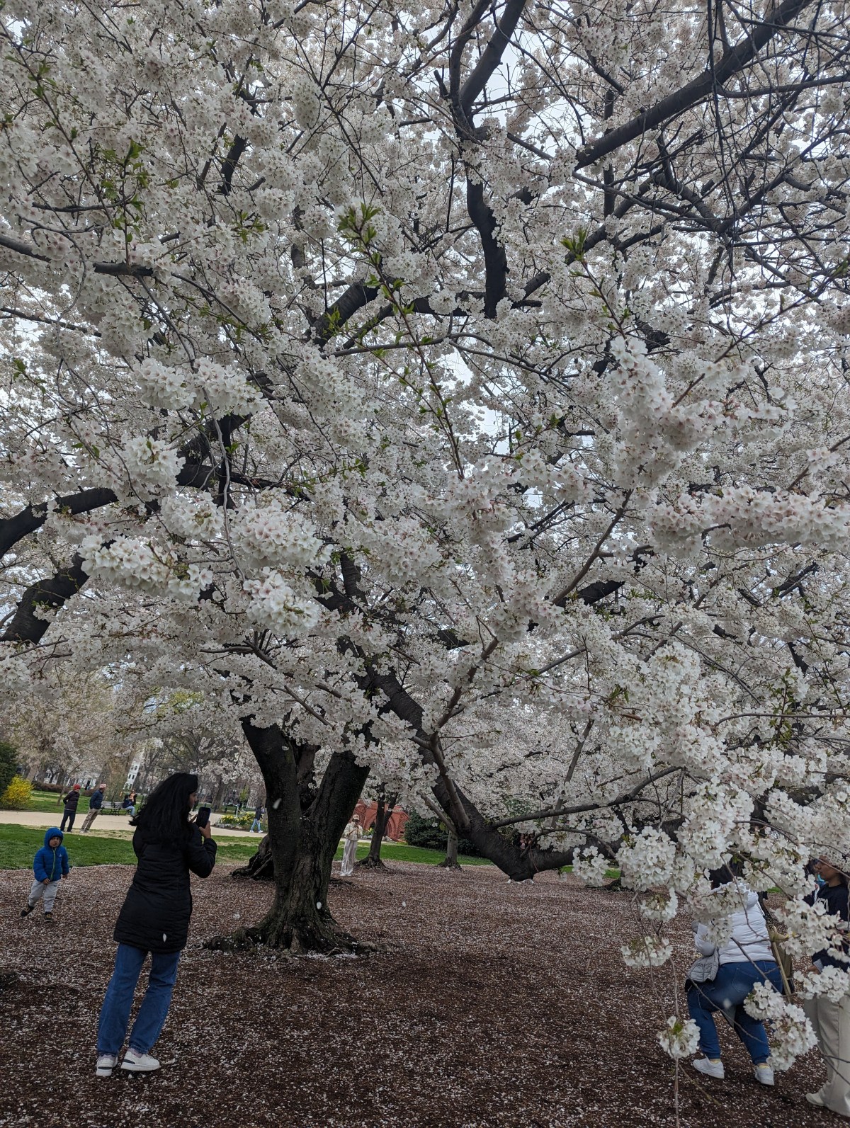 Birthday Getaway to the DMV: Healing Hearts and Having&nbsp;Fun!